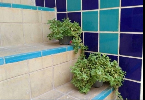 هتل نیایش